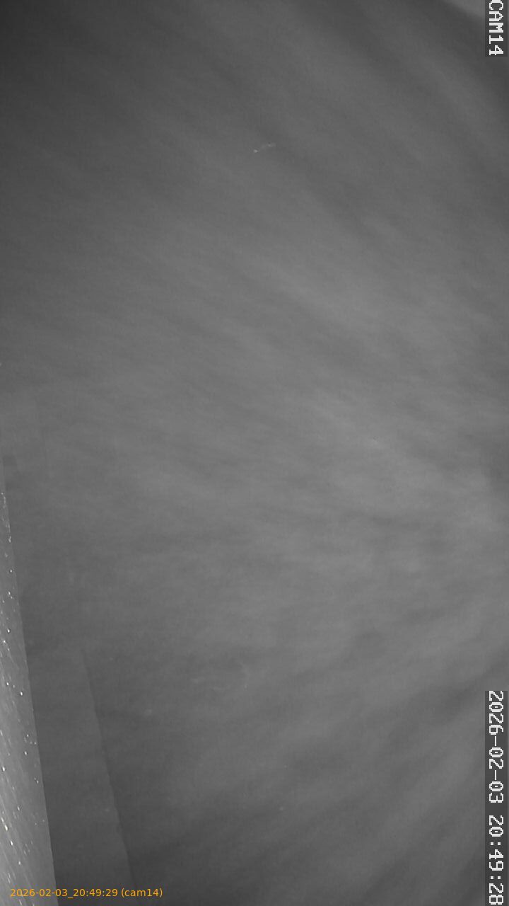 thumbnail_20260203204929