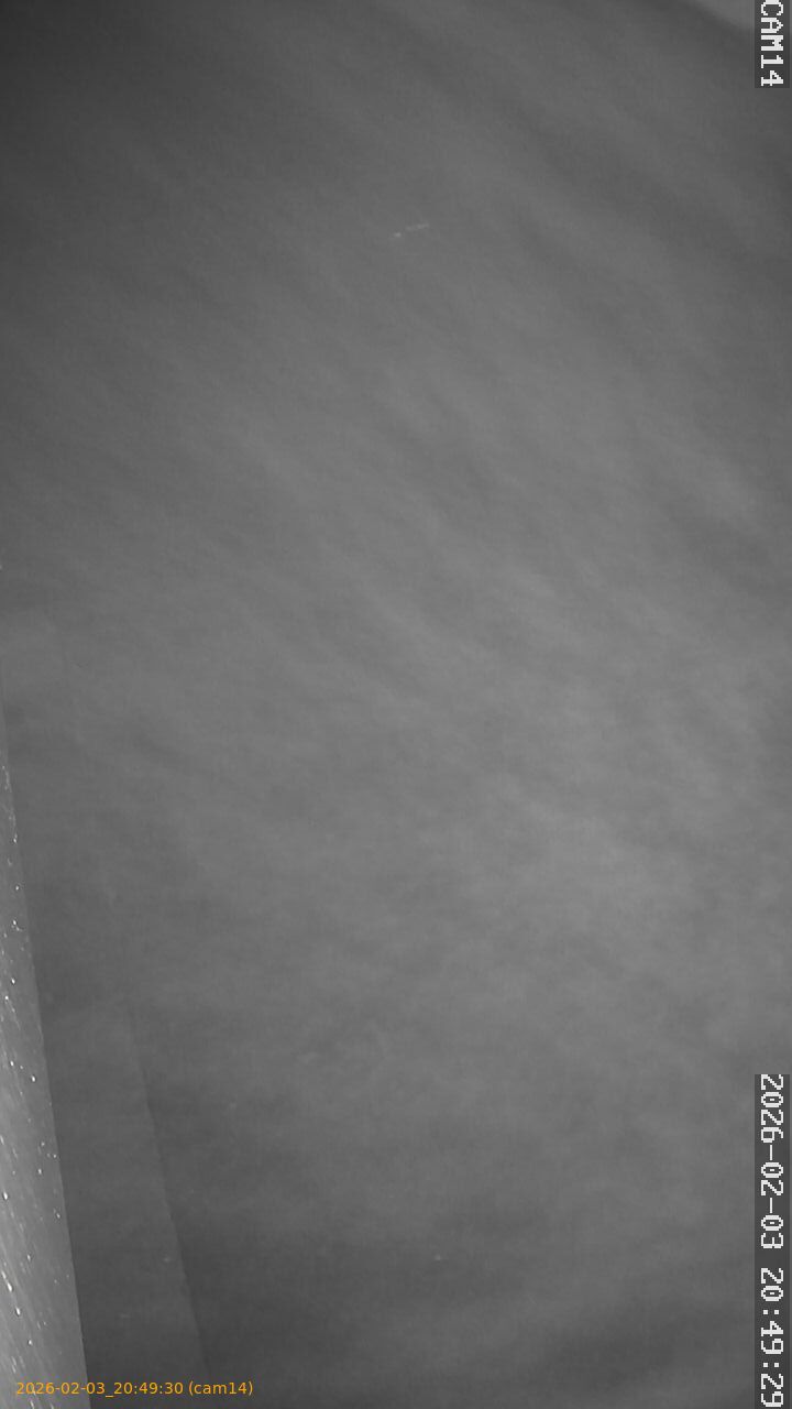 thumbnail_20260203204930