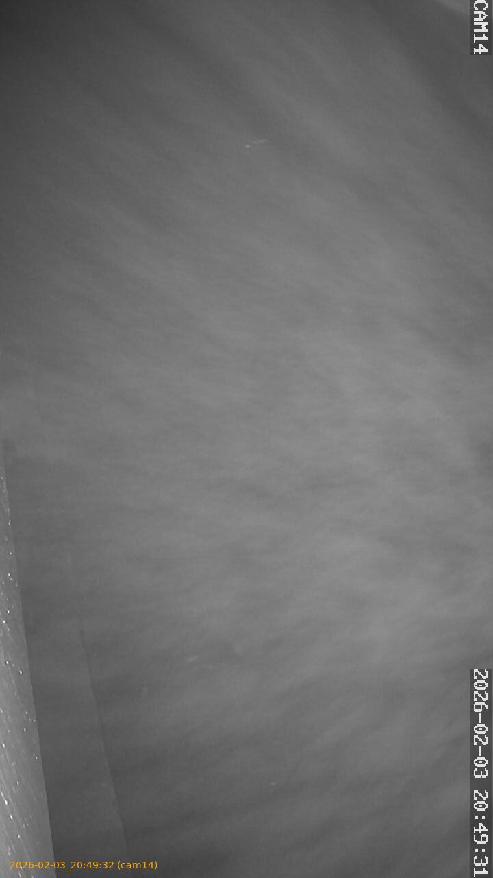 thumbnail_20260203204932