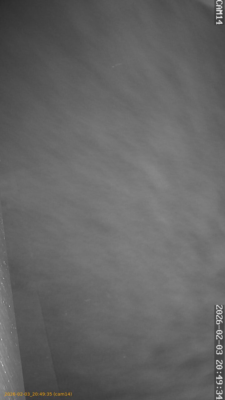 thumbnail_20260203204935