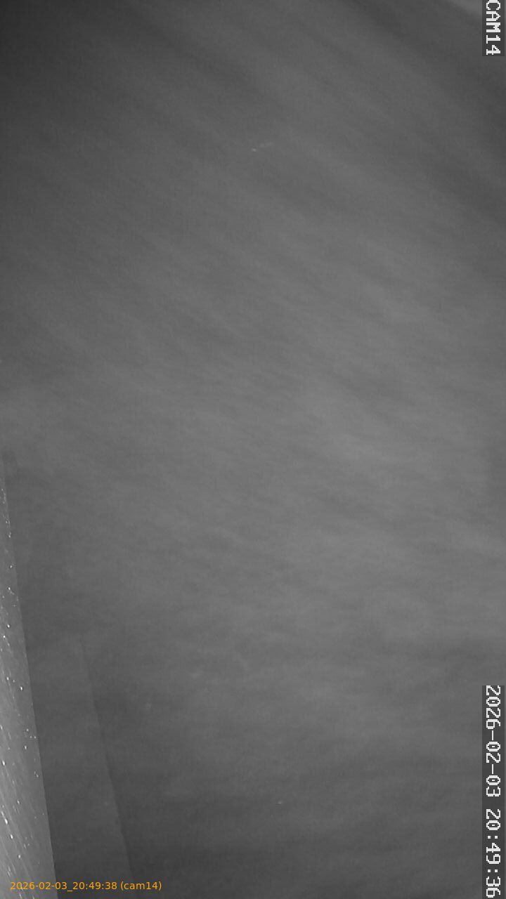 thumbnail_20260203204938