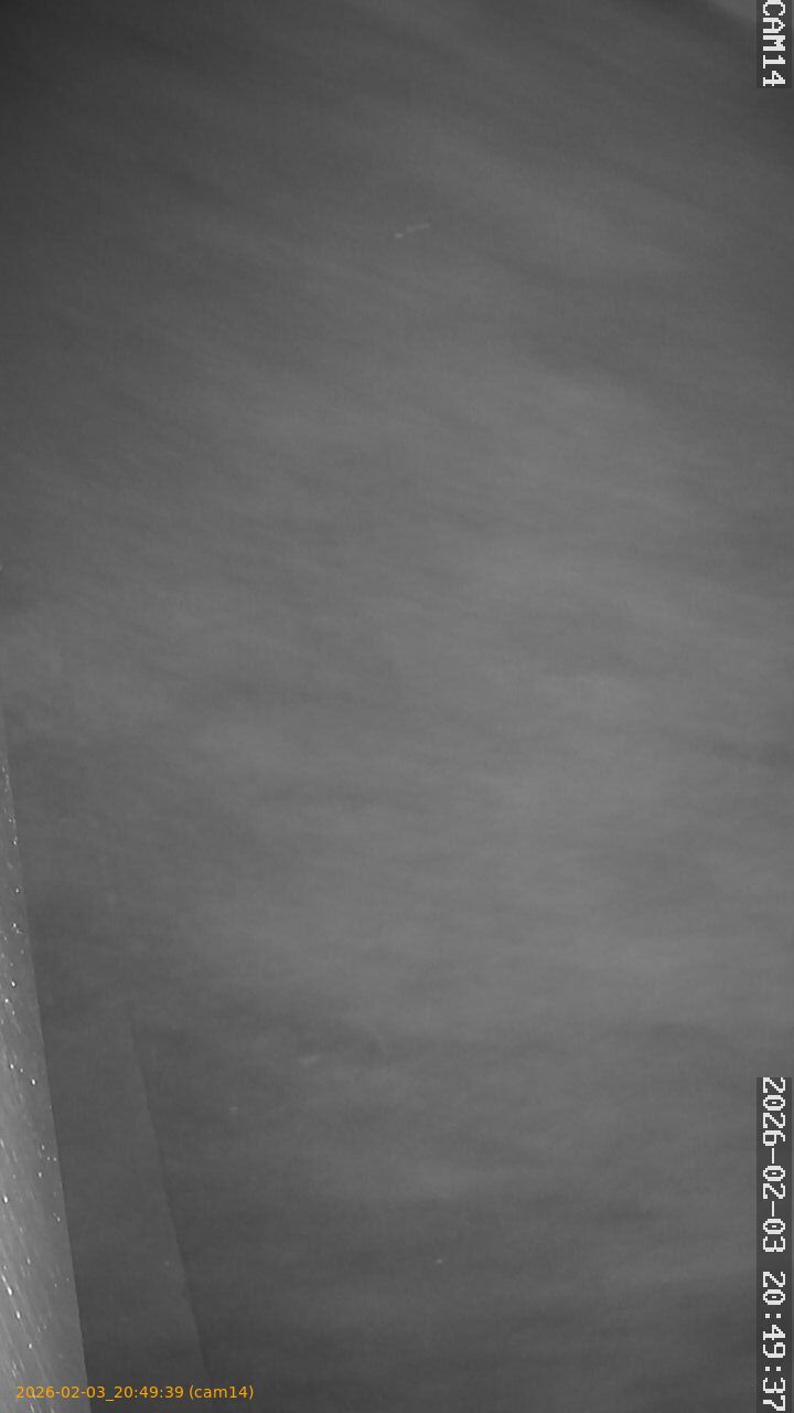 thumbnail_20260203204939