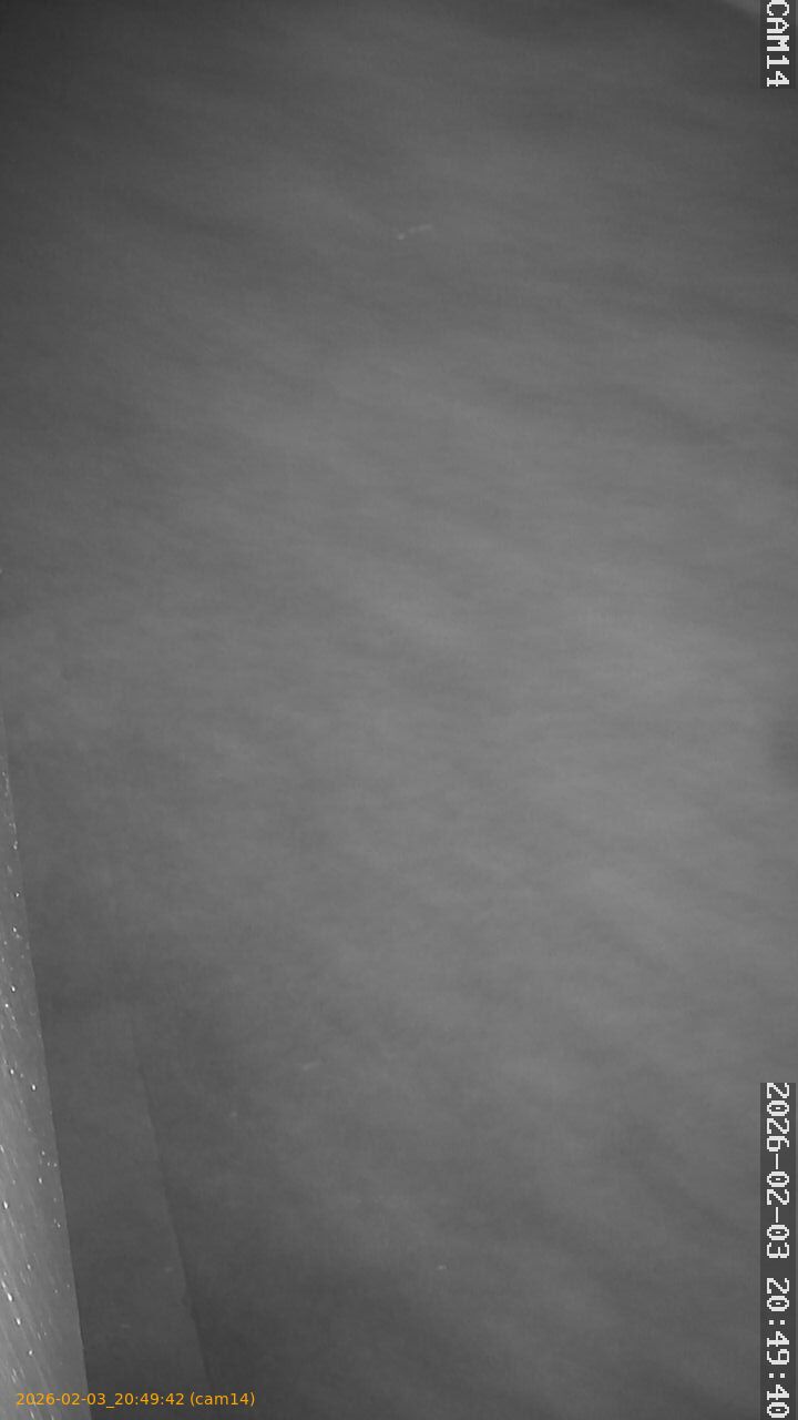 thumbnail_20260203204942