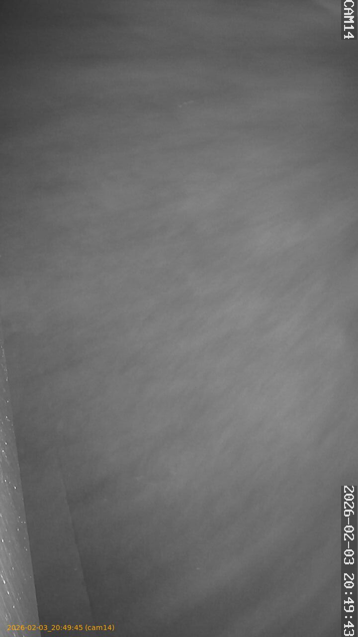 thumbnail_20260203204945