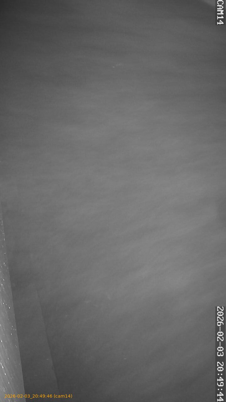 thumbnail_20260203204946