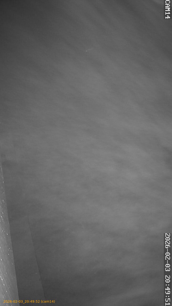 thumbnail_20260203204952