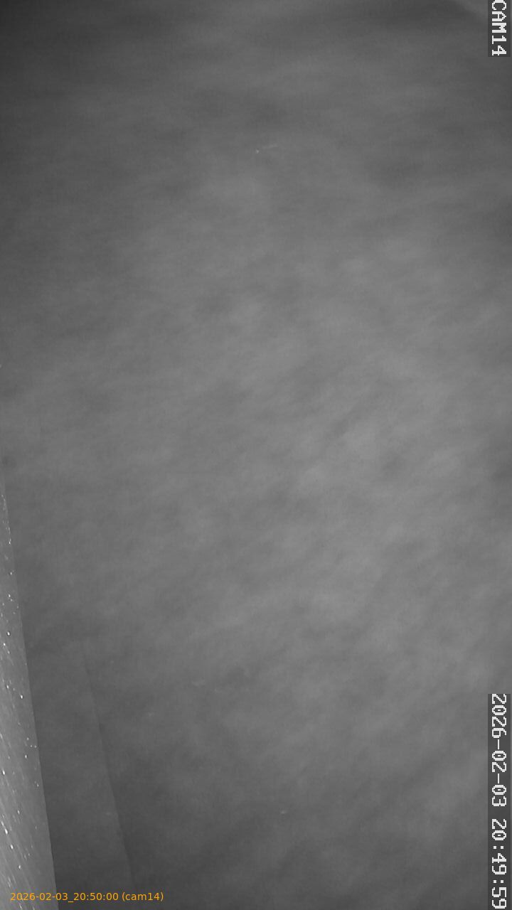 thumbnail_20260203205000