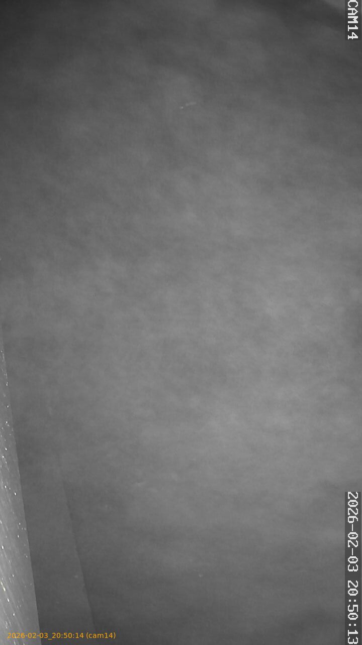 thumbnail_20260203205014