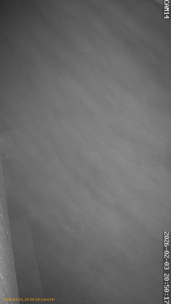 thumbnail_20260203205018