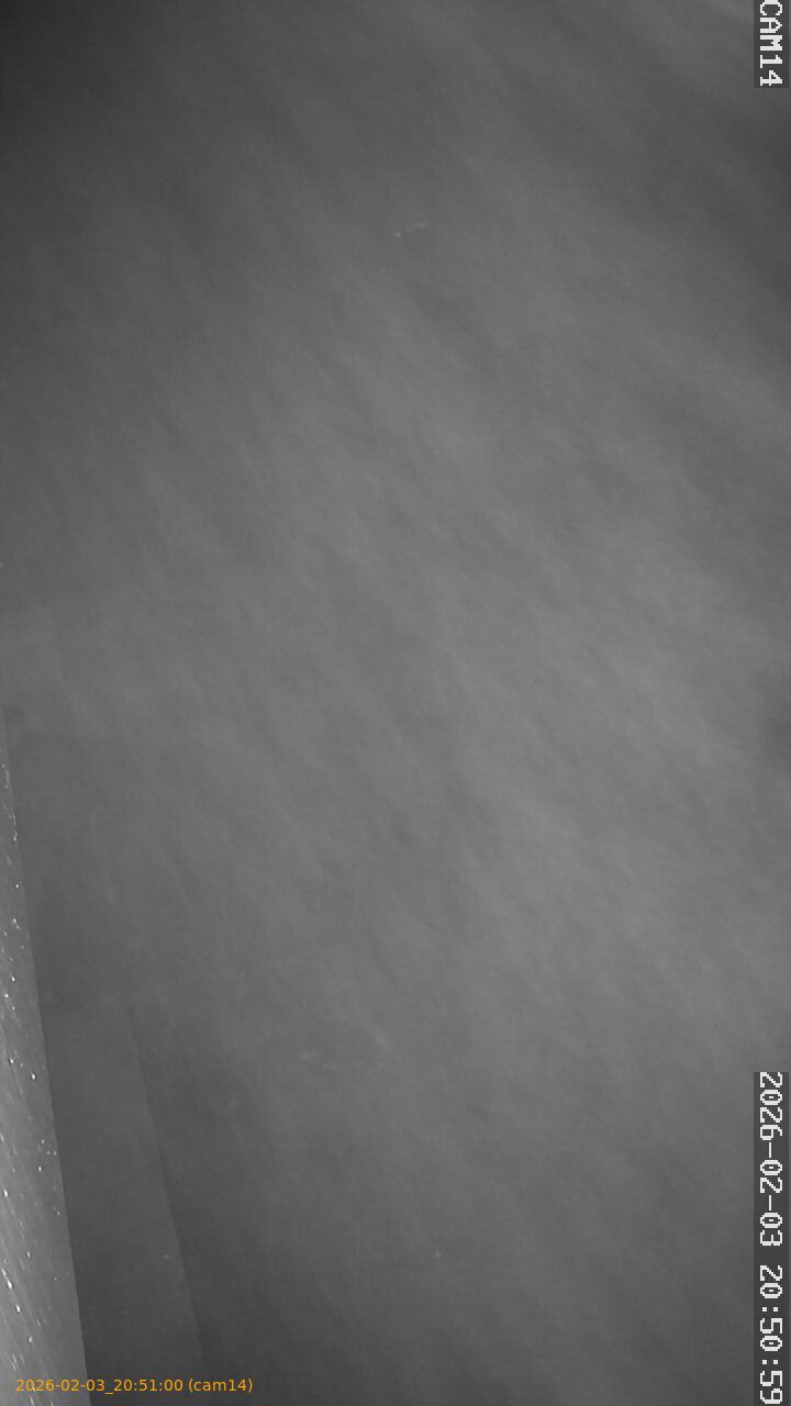 thumbnail_20260203205100