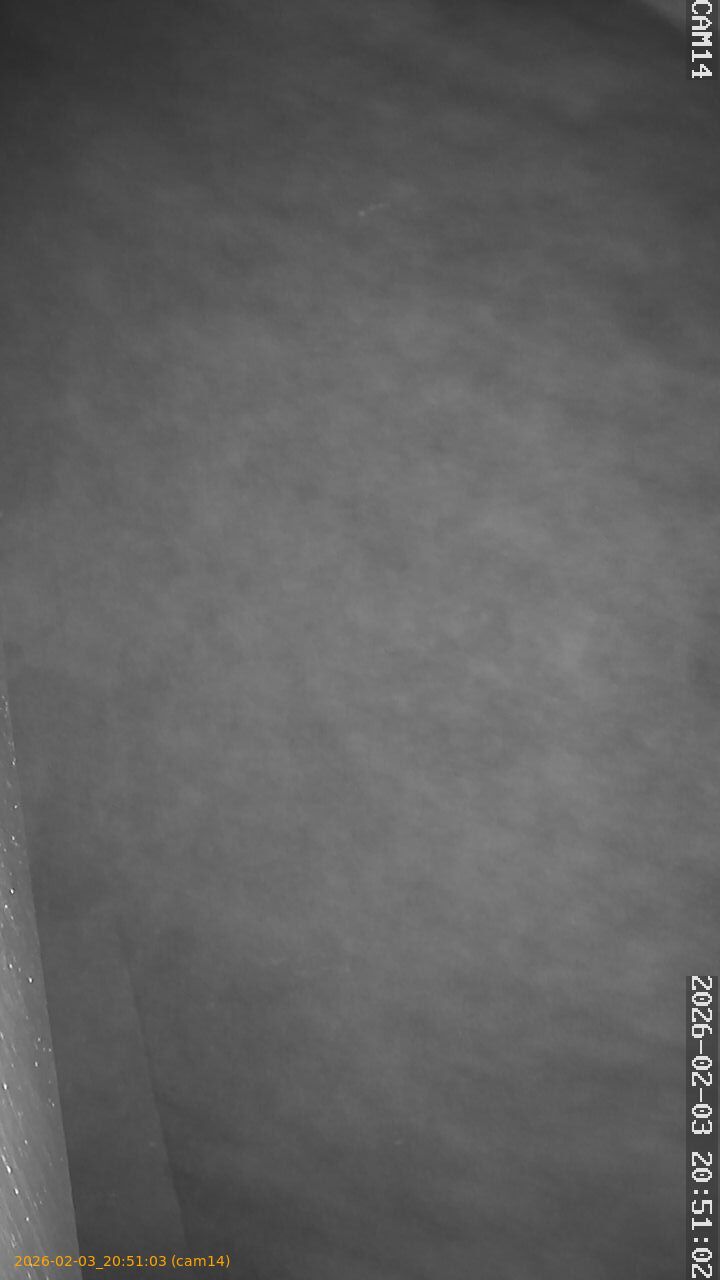 thumbnail_20260203205103