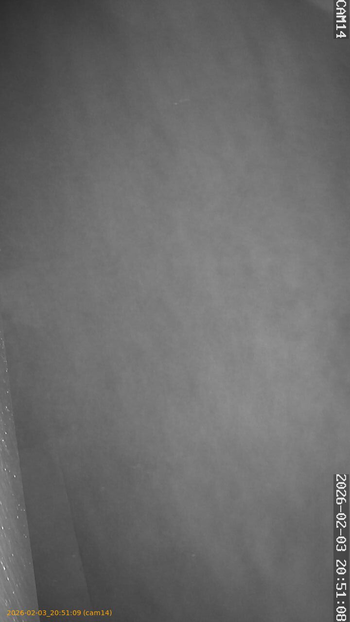 thumbnail_20260203205109