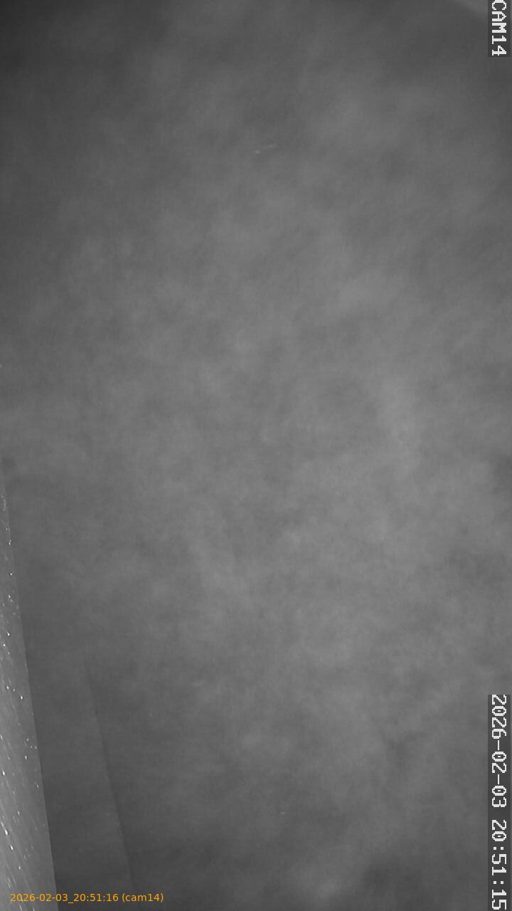 thumbnail_20260203205116