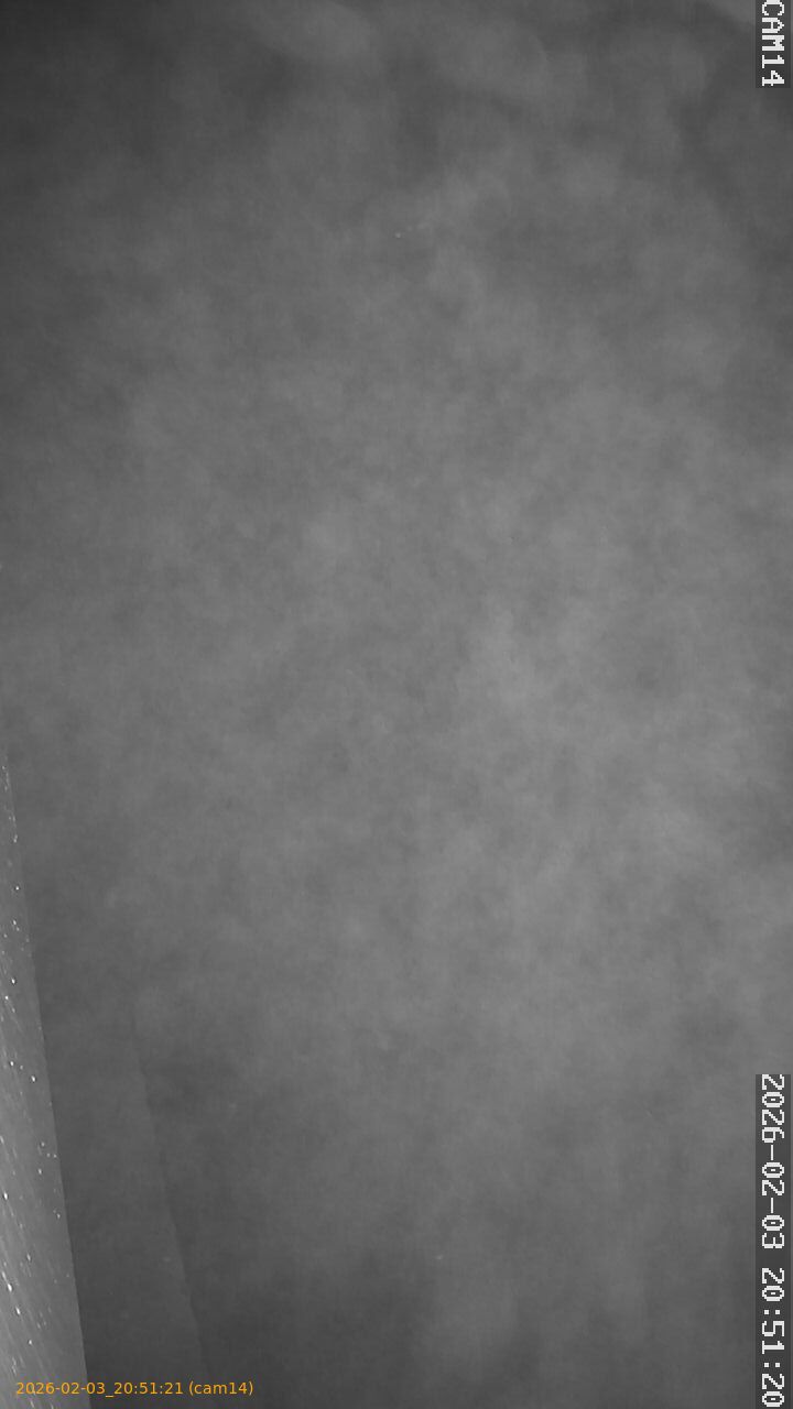 thumbnail_20260203205121