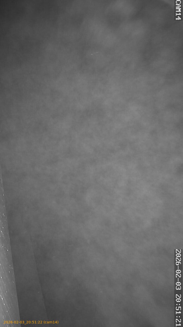 thumbnail_20260203205122