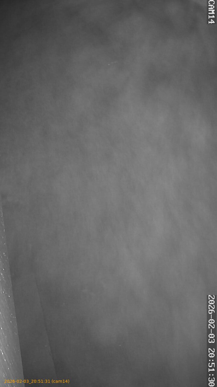 thumbnail_20260203205131