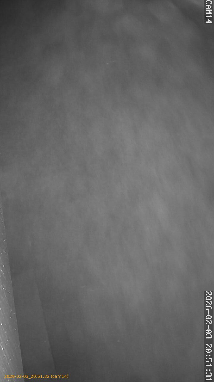 thumbnail_20260203205132