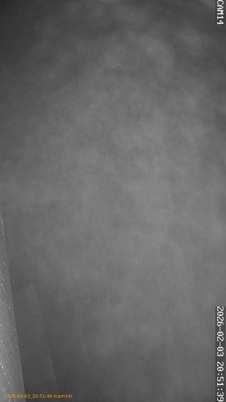 thumbnail_20260203205140