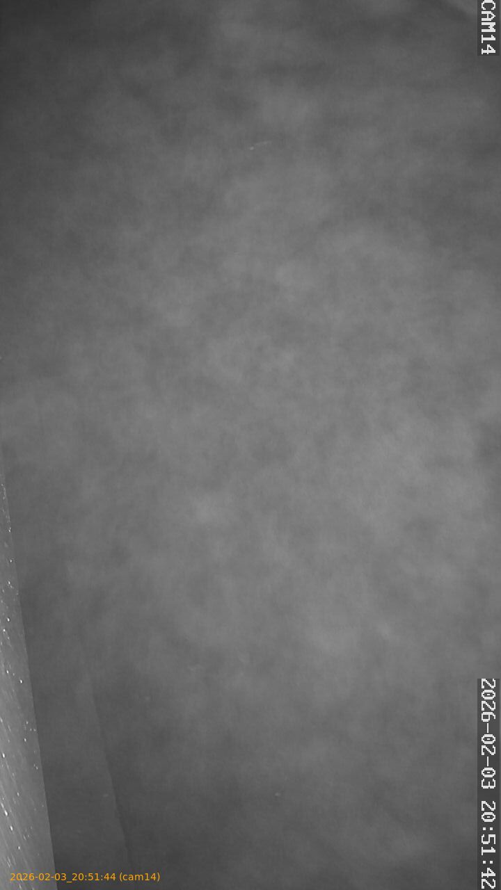 thumbnail_20260203205143