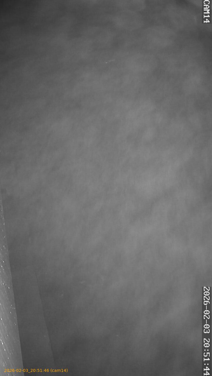 thumbnail_20260203205146