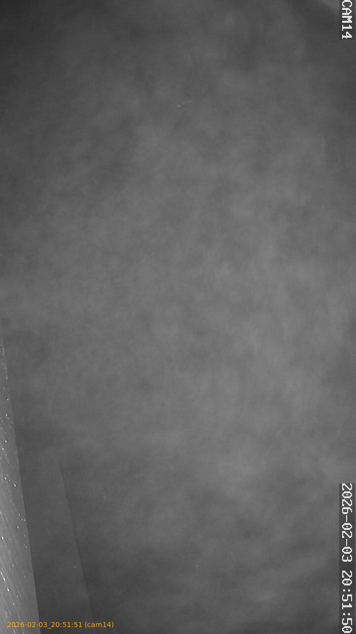 thumbnail_20260203205151