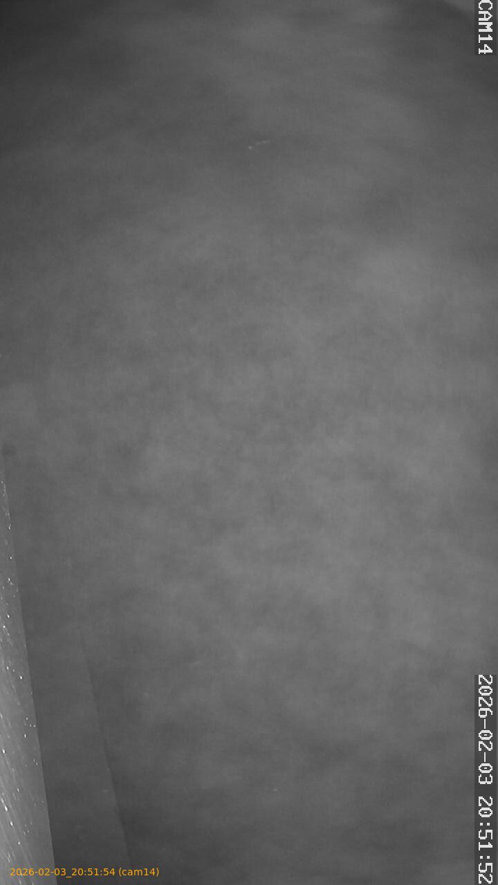 thumbnail_20260203205154