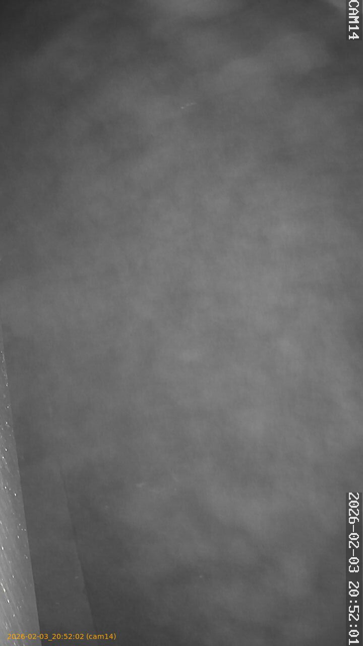 thumbnail_20260203205202