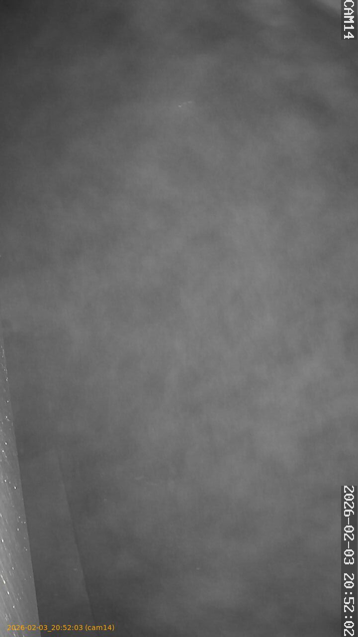 thumbnail_20260203205203