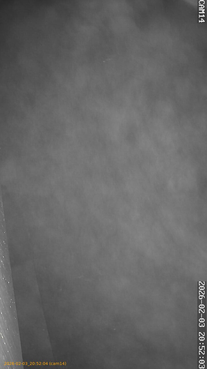 thumbnail_20260203205204