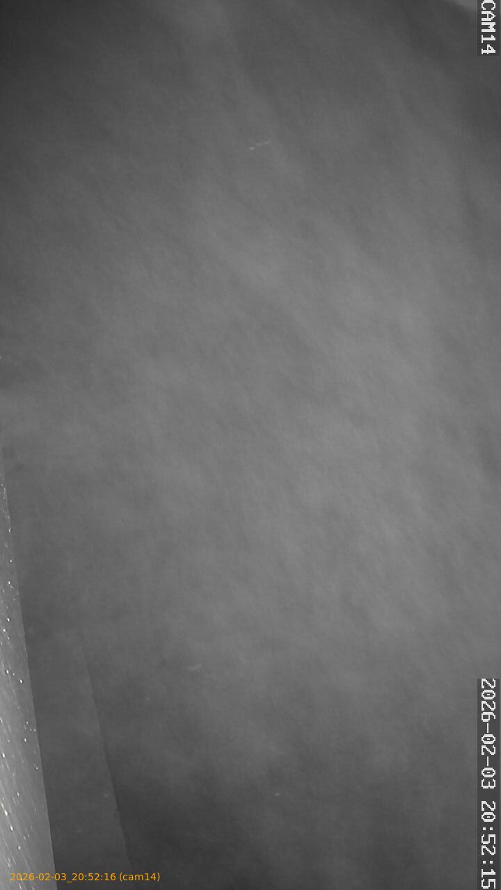 thumbnail_20260203205216