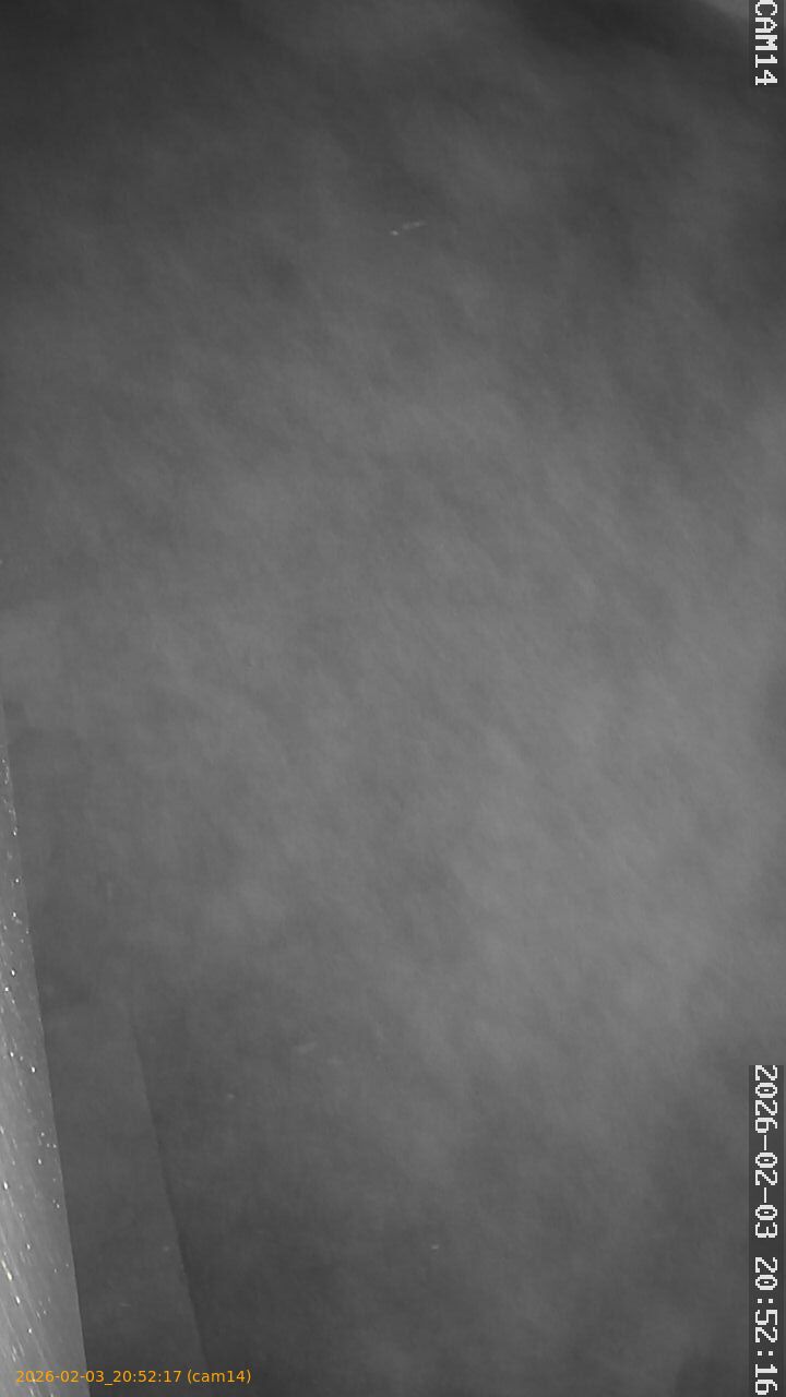 thumbnail_20260203205217