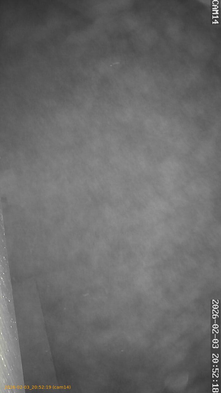 thumbnail_20260203205219