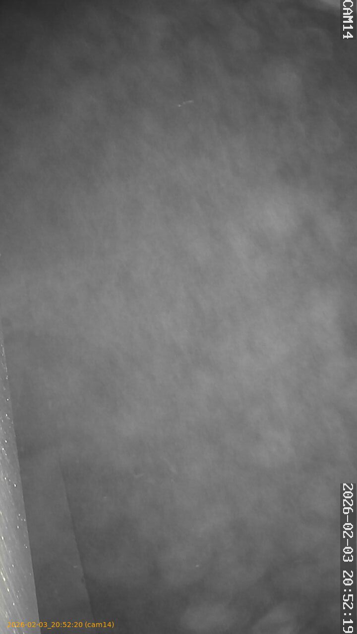 thumbnail_20260203205220