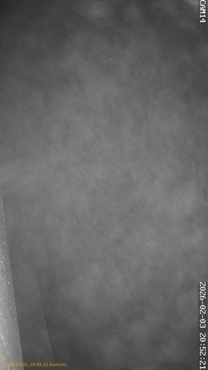 thumbnail_20260203205222