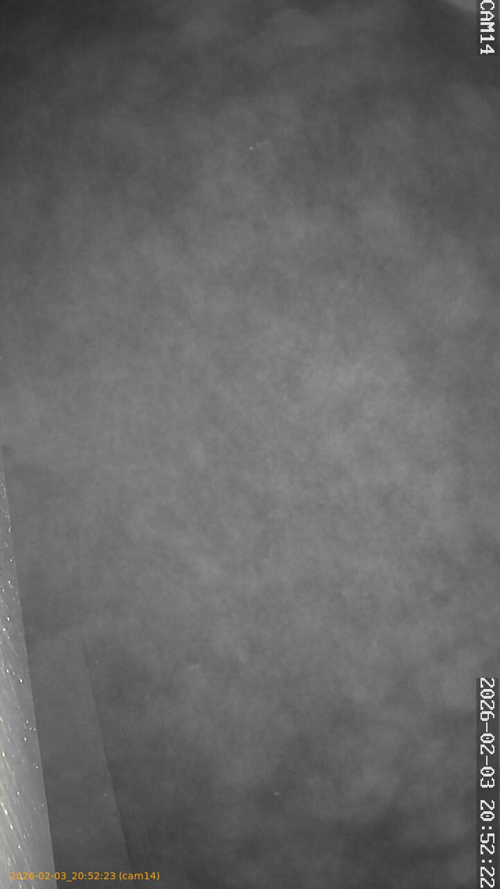 thumbnail_20260203205223