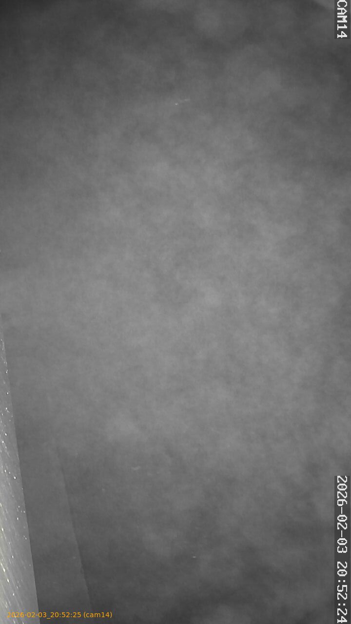 thumbnail_20260203205225