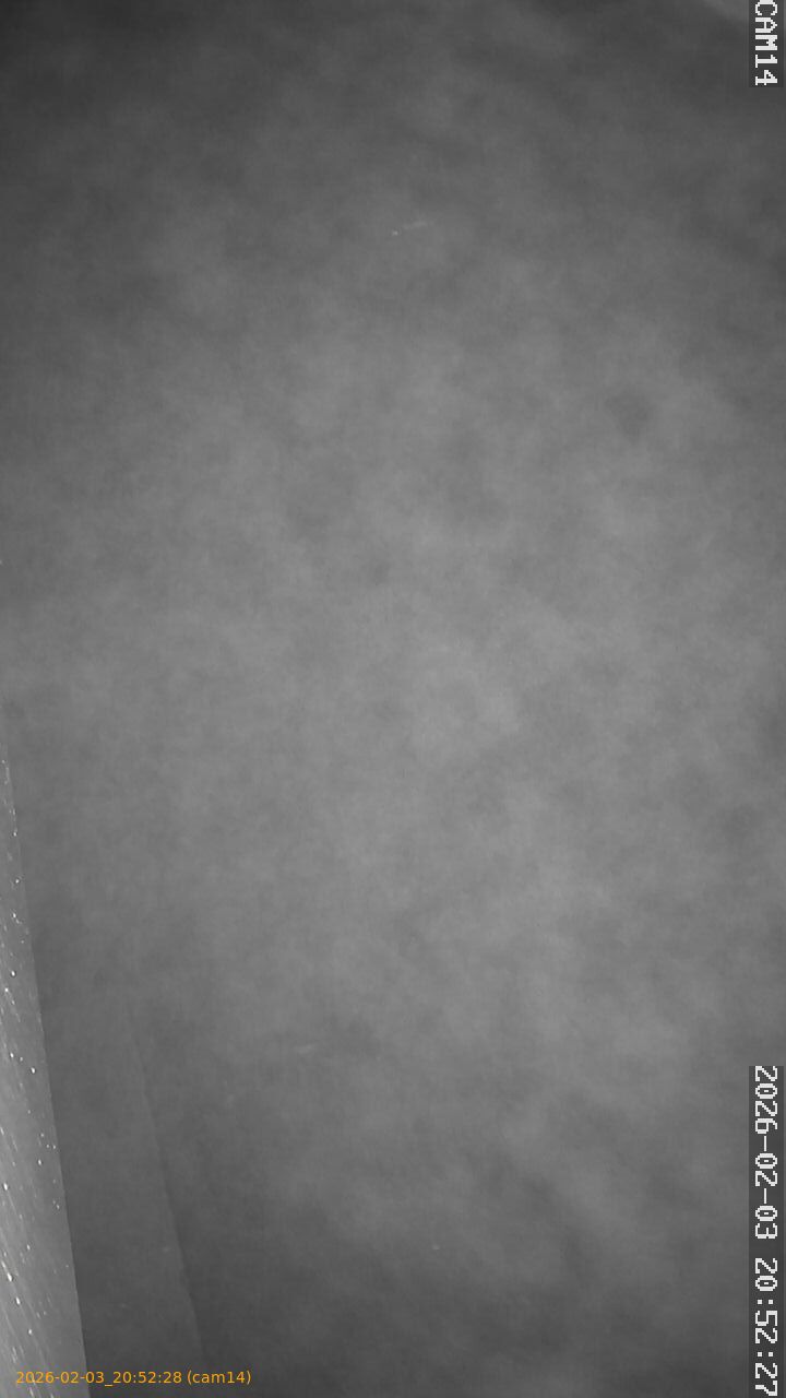 thumbnail_20260203205228