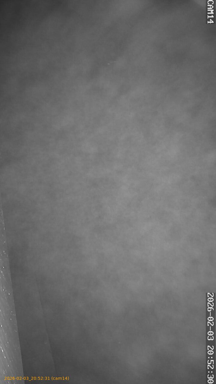 thumbnail_20260203205231