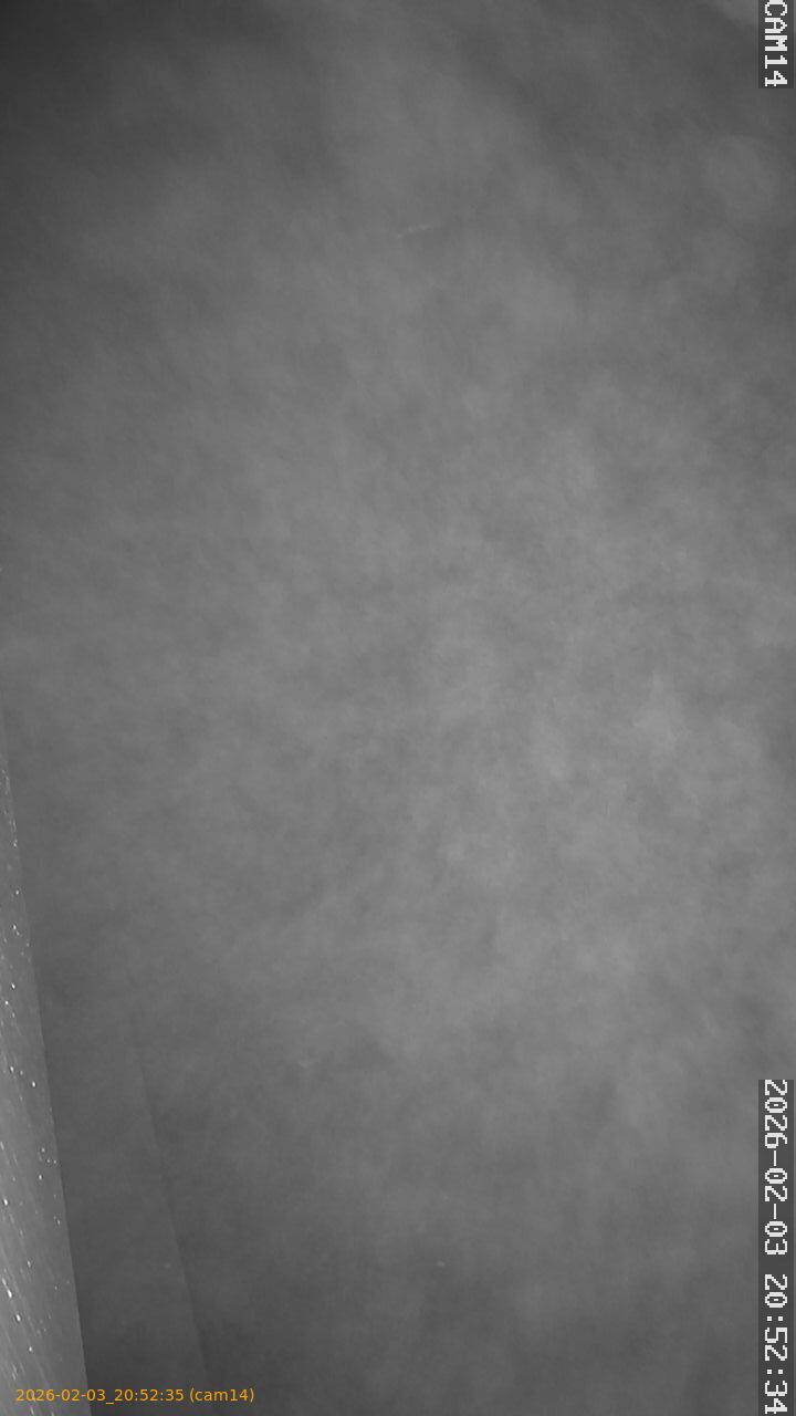 thumbnail_20260203205235