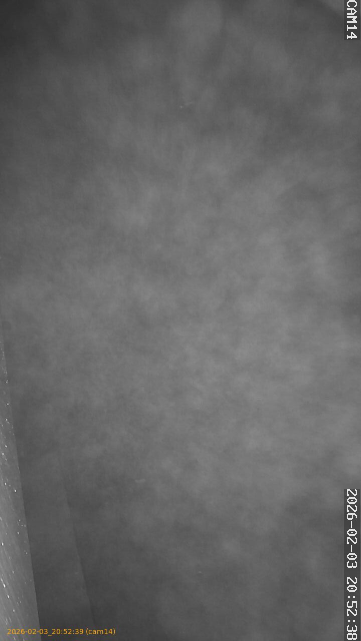 thumbnail_20260203205239