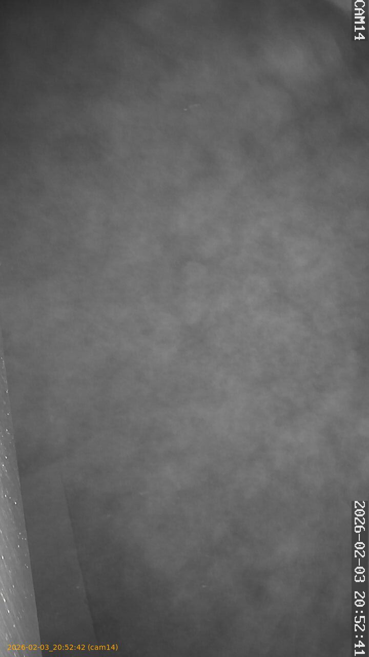 thumbnail_20260203205242