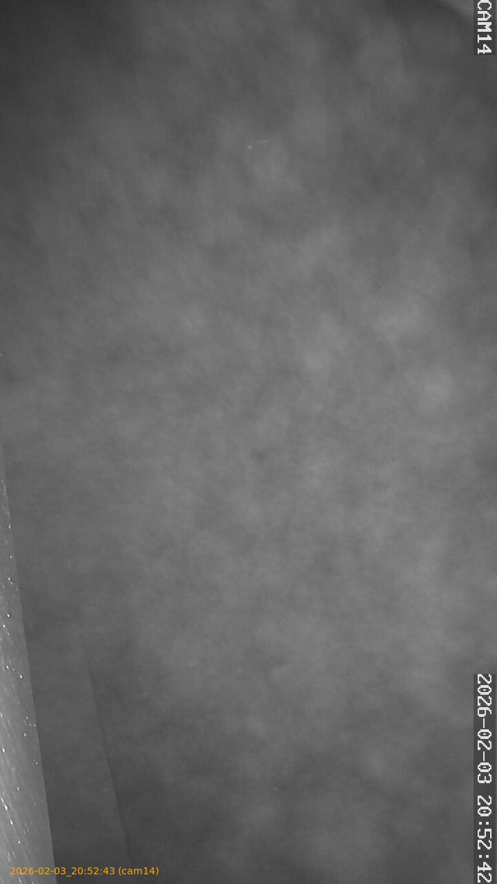 thumbnail_20260203205243