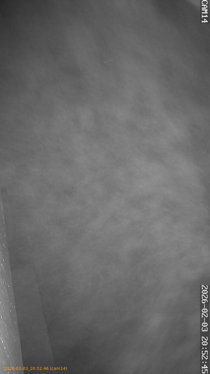 thumbnail_20260203205246