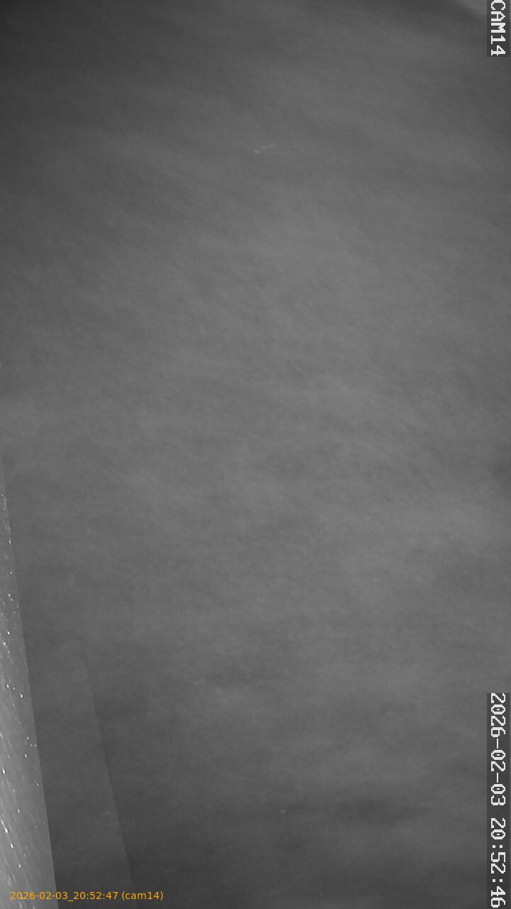 thumbnail_20260203205247