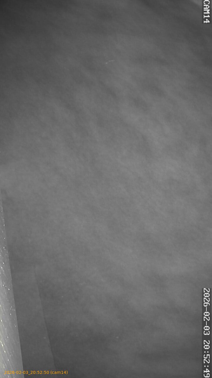 thumbnail_20260203205250