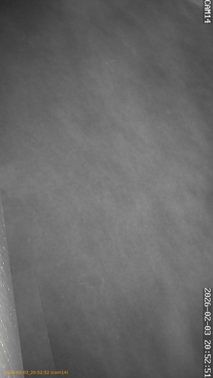 thumbnail_20260203205252