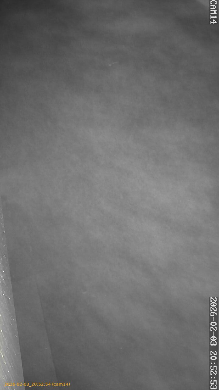 thumbnail_20260203205254