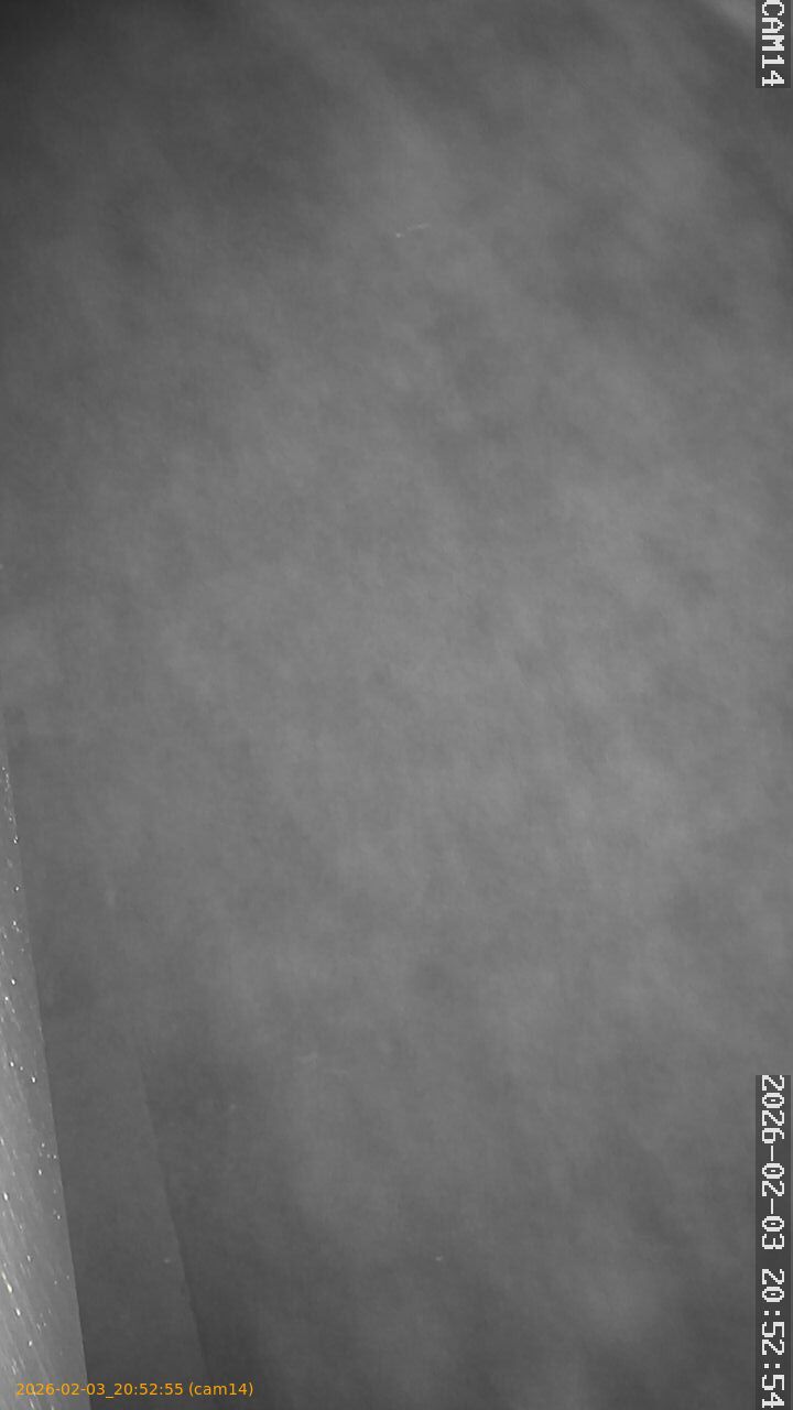 thumbnail_20260203205255