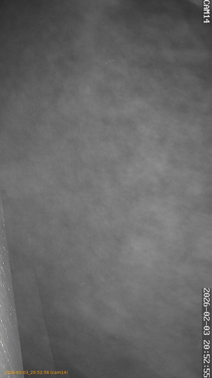 thumbnail_20260203205256