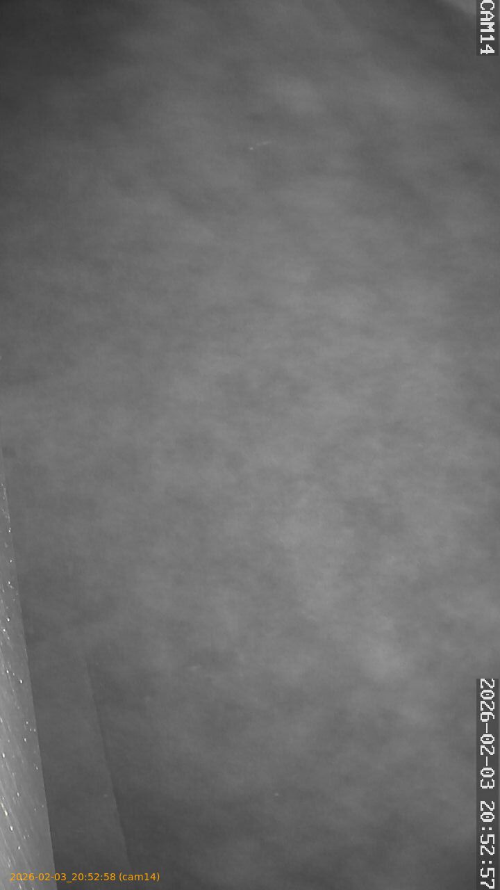 thumbnail_20260203205258